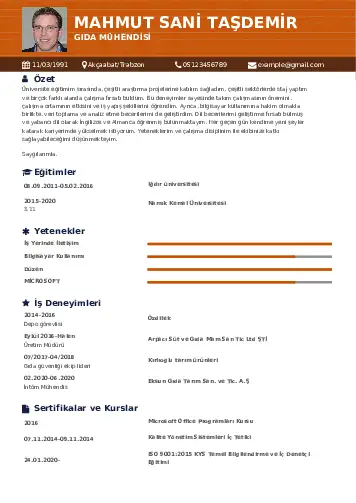 Gıda Mühendisi CV Örnekleri cv indir